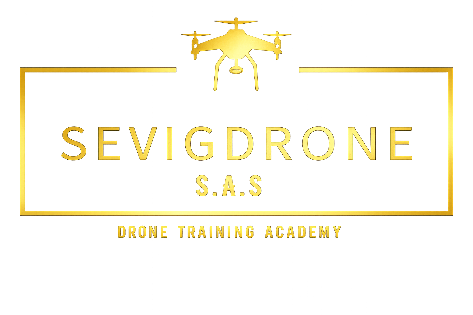 Logo Sevigdrone